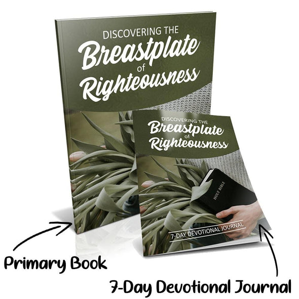 Resource 2 | Discovering the Breastplate of Righteousness